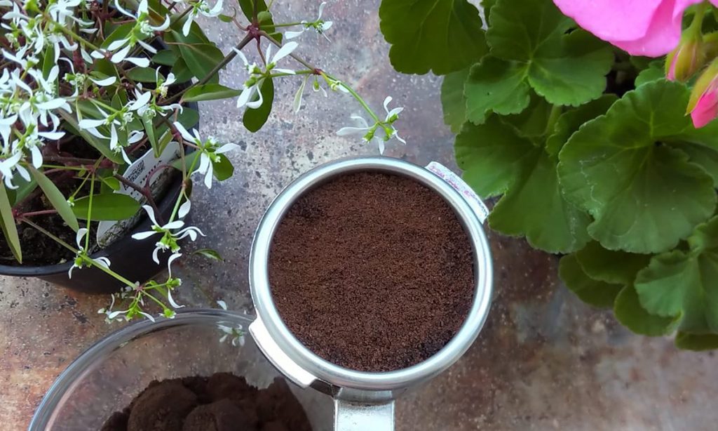 Un espresso in giardino: come riciclare i fondi di caffè