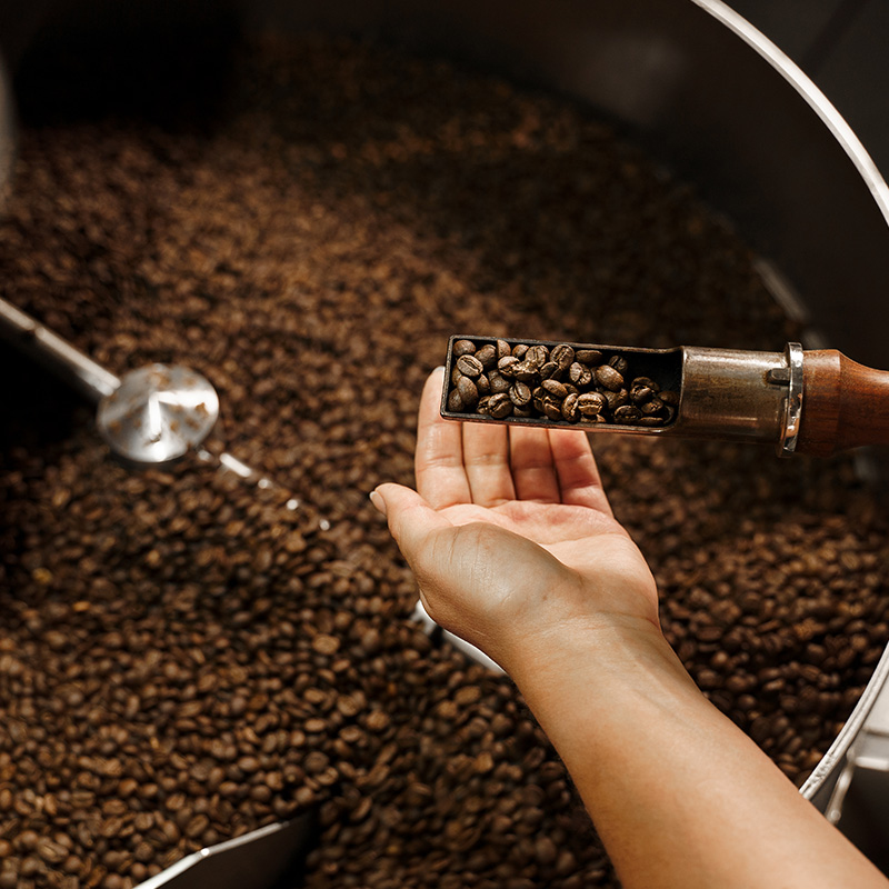 Botanica del caffè